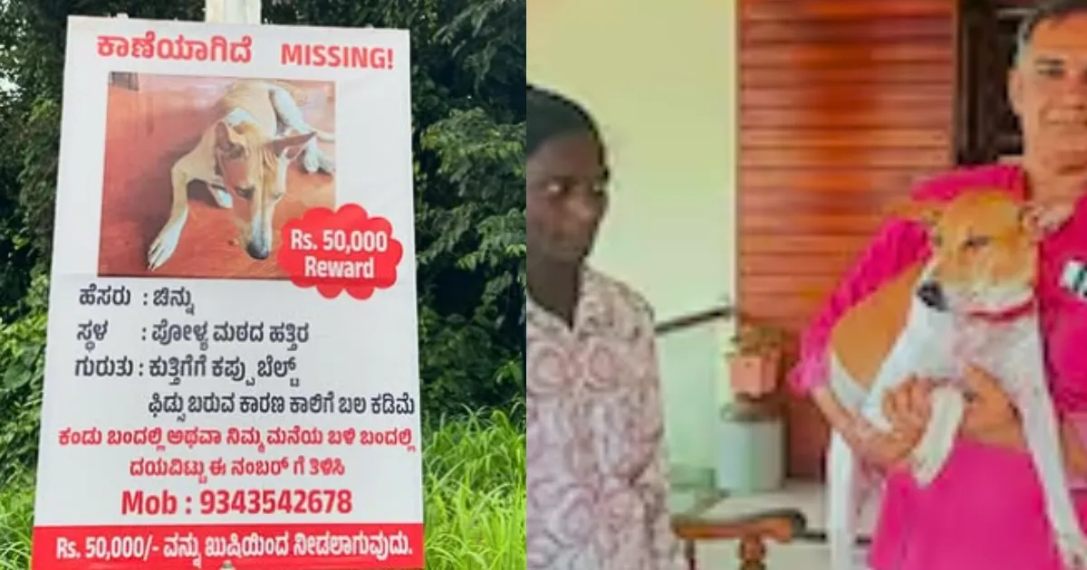 Chinnu Dog Found Ganesh Kera Rewards Rs50000