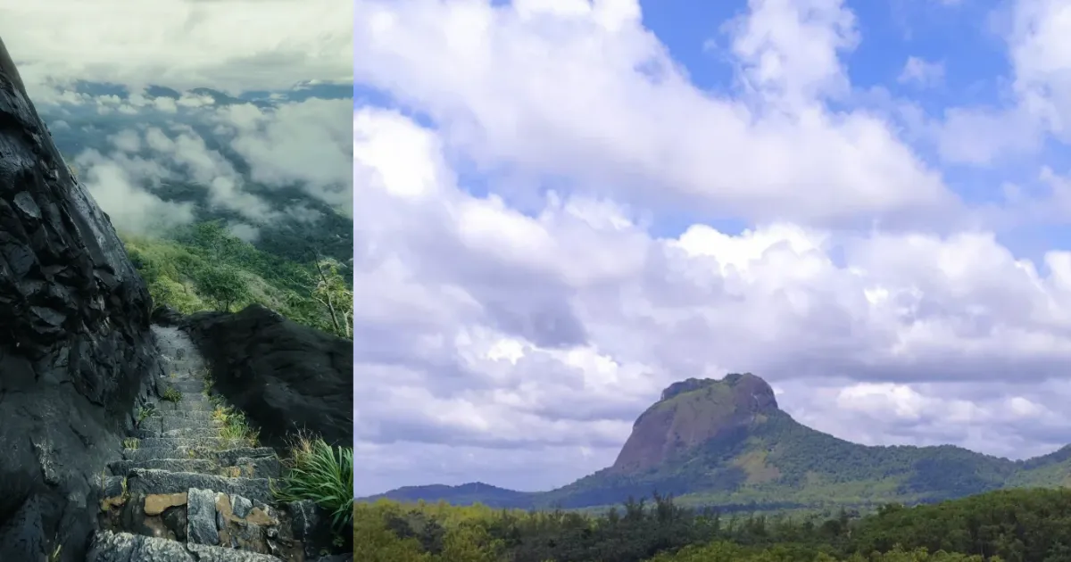 Gadayikallu Trek Reopens Entry