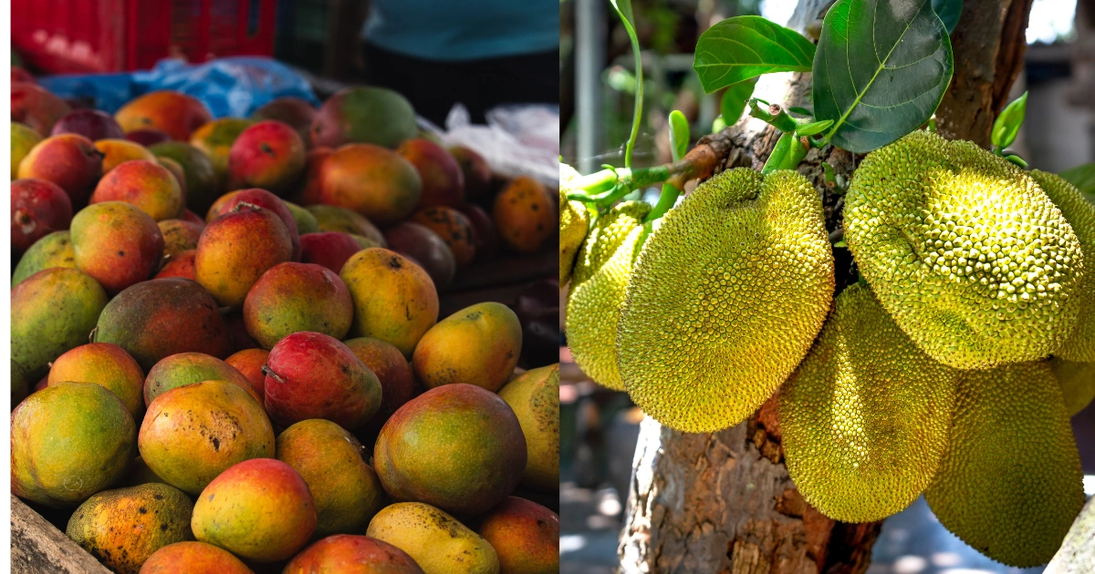 Women’s Cooking Competition at Sullia Mango and Jackfruit Fair 2026