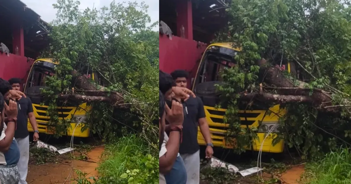 ಬಂಟ್ವಾಳದಲ್ಲಿ ಶಾಲಾ ಬಸ್ ಮೇಲೆ ಬೃಹತ್ ಮರ ಬಿದ್ದು ಮೃತಪಟ್ಟ ಬಾಲಕಿ
