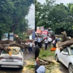 ಮಂಗಳೂರಿನ ಬಾವುಟಗುಡ್ಡೆಯಲ್ಲಿ ಚಲಿಸುತ್ತಿದ್ದ ಕಾರಿನ ಮೇಲೆ ಮರ ಉರುಳಿ ಬಿದ್ದ ದೃಶ್ಯ