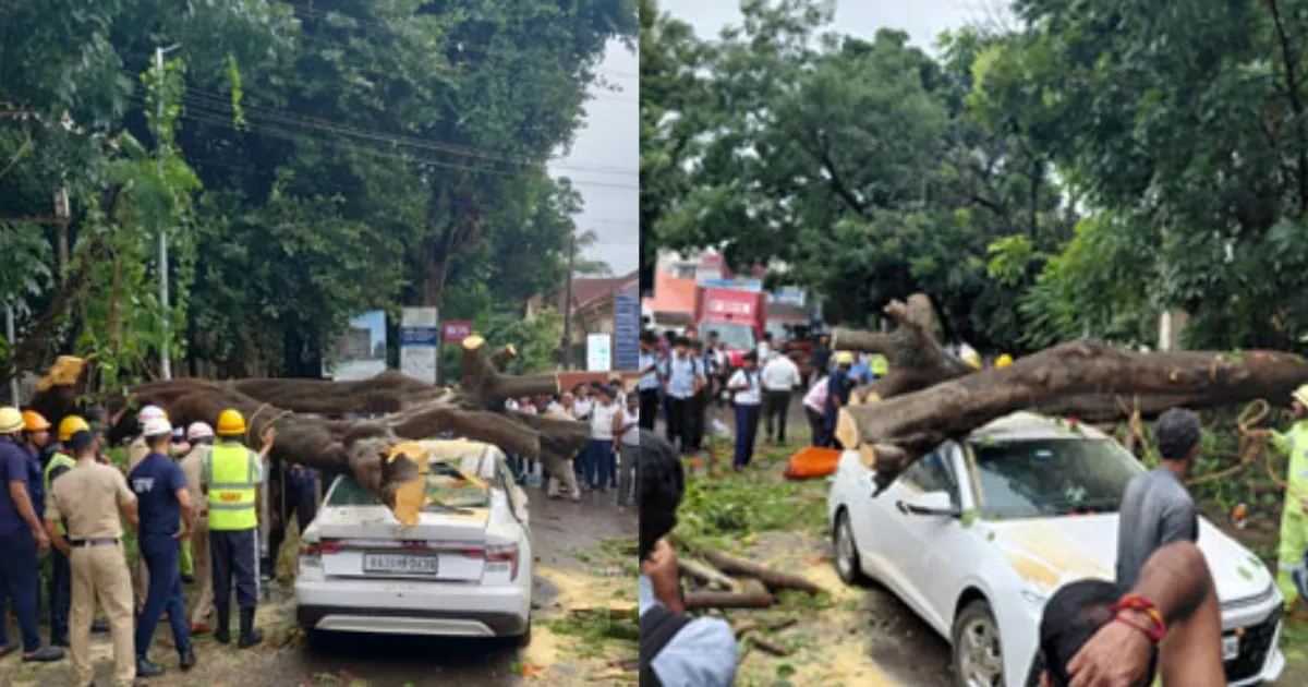 ಮಂಗಳೂರಿನ ಬಾವುಟಗುಡ್ಡೆಯಲ್ಲಿ ಚಲಿಸುತ್ತಿದ್ದ ಕಾರಿನ ಮೇಲೆ ಮರ ಉರುಳಿ ಬಿದ್ದ ದೃಶ್ಯ
