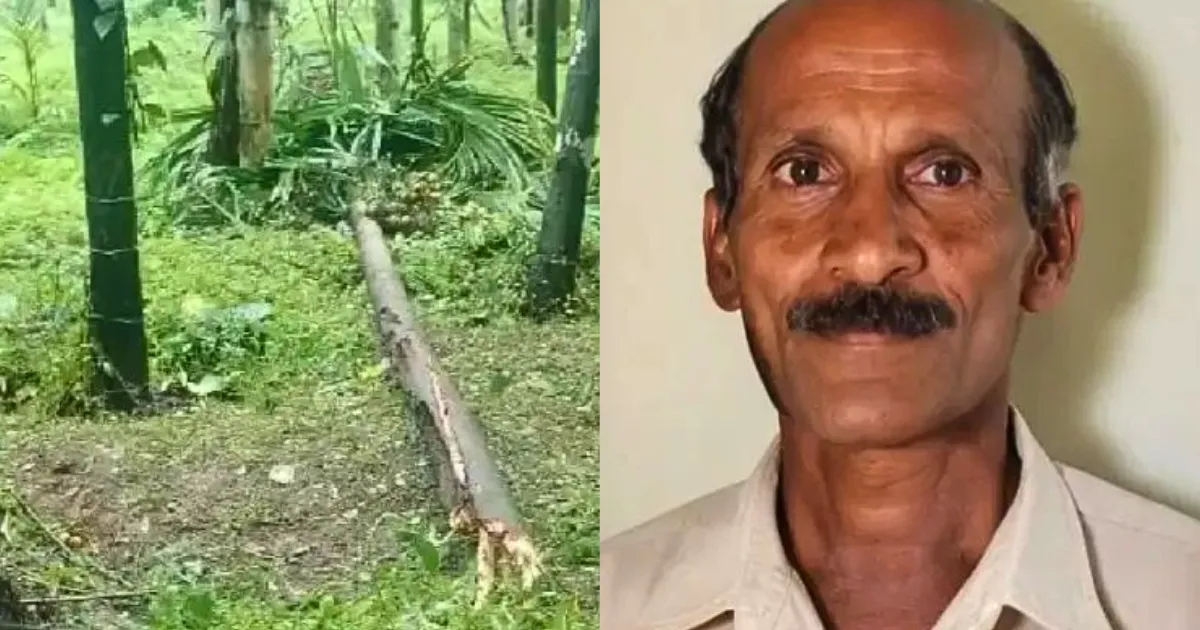 ಕಡಬದ ಕುಂತೂರು ಗ್ರಾಮದಲ್ಲಿ ಗಾಳಿ-ಮಳೆಗೆ ಅಡಿಕೆ ಮರ ಬಿದ್ದು ವ್ಯಕ್ತಿ ಮೃತ