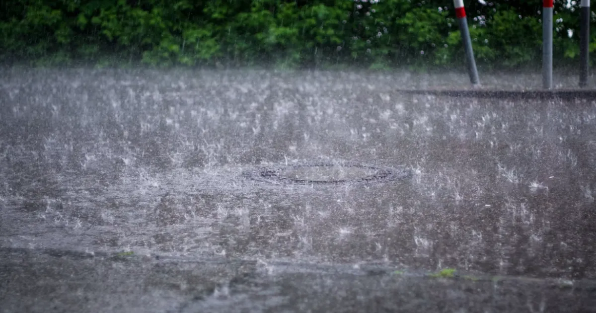 August 4 School College Holiday Heavy Rain Official Order