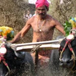 ಕಂಬಳ ಲೈವ್ ಸ್ಕೋರ್‌ಬೋರ್ಡ್‌ನಲ್ಲಿ ಕೋಣಗಳ ಓಟದ ಸಮಯ, ಯಜಮಾನ ಮತ್ತು ಓಟಗಾರರ ಮಾಹಿತಿ